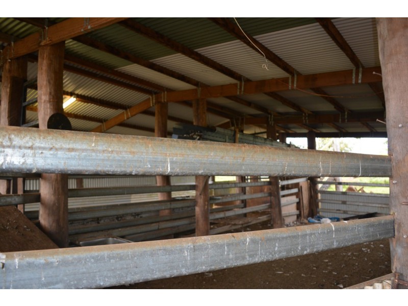 Millaa Millaa QLD 4886