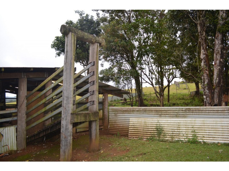 Millaa Millaa QLD 4886