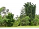 Evelyn QLD 4888