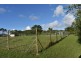 Evelyn QLD 4888