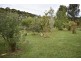 Evelyn QLD 4888