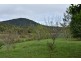Evelyn QLD 4888