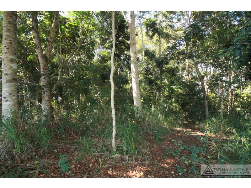 Upper Barron QLD 4883