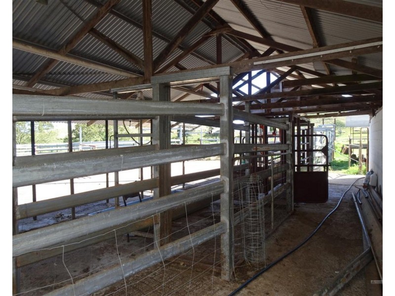 East Barron QLD 4883
