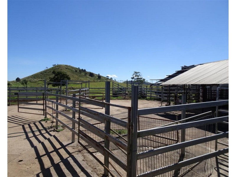 East Barron QLD 4883