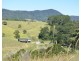 F1649  164 Moregatta Road, Millaa Millaa QLD 4886