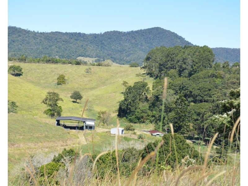F1649  164 Moregatta Road, Millaa Millaa QLD 4886
