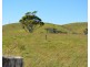 F1649  164 Moregatta Road, Millaa Millaa QLD 4886