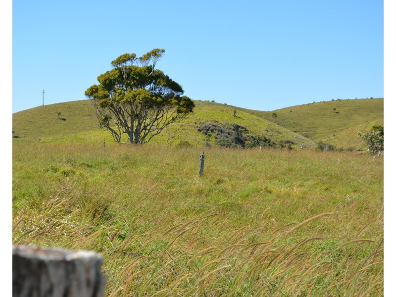 F1649  164 Moregatta Road, Millaa Millaa QLD 4886