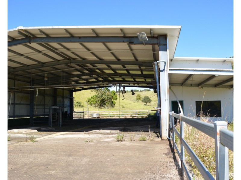 F1649  164 Moregatta Road, Millaa Millaa QLD 4886