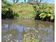 F1649  164 Moregatta Road, Millaa Millaa QLD 4886