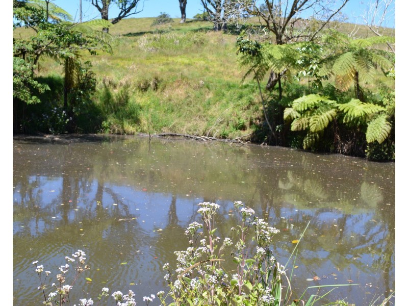 F1649  164 Moregatta Road, Millaa Millaa QLD 4886
