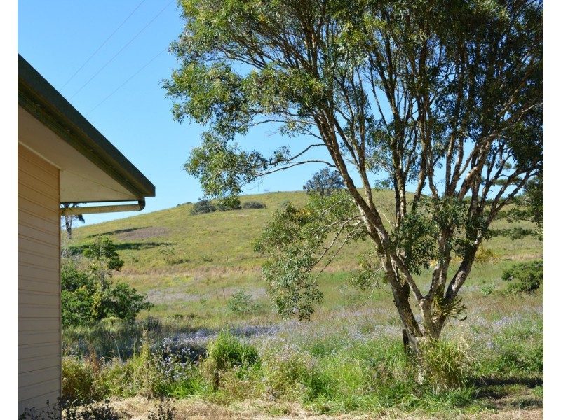 F1649  164 Moregatta Road, Millaa Millaa QLD 4886