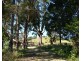 F1649  164 Moregatta Road, Millaa Millaa QLD 4886