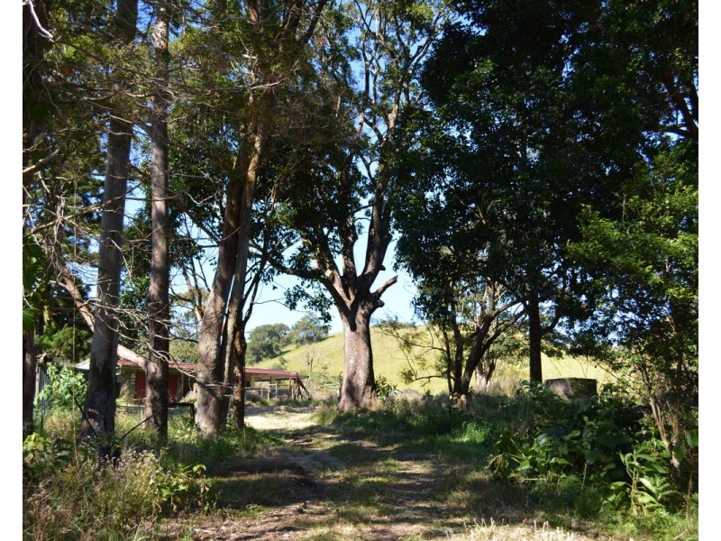 F1649  164 Moregatta Road, Millaa Millaa QLD 4886