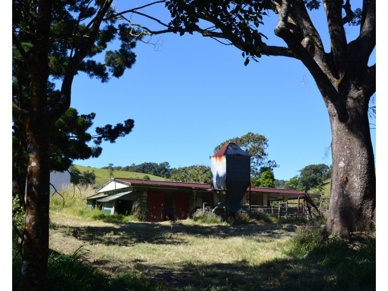 F1649  164 Moregatta Road, Millaa Millaa QLD 4886
