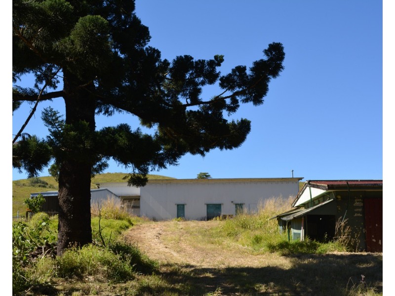 F1649  164 Moregatta Road, Millaa Millaa QLD 4886