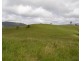 Millaa Millaa QLD 4886