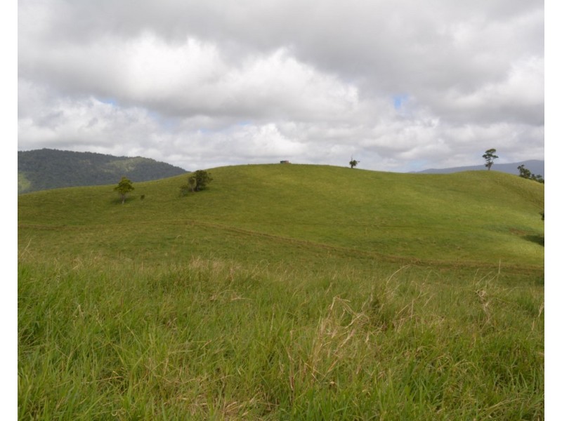 Millaa Millaa QLD 4886