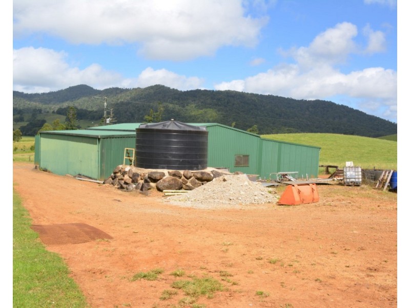 Millaa Millaa QLD 4886