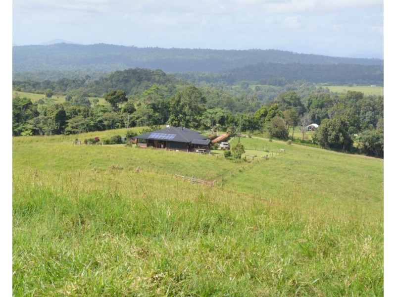 Millaa Millaa QLD 4886
