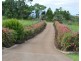 Millaa Millaa QLD 4886