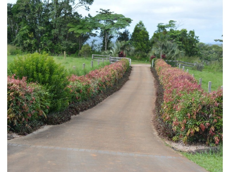 Millaa Millaa QLD 4886