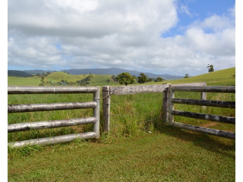 Millaa Millaa QLD 4886