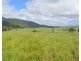 Millaa Millaa QLD 4886
