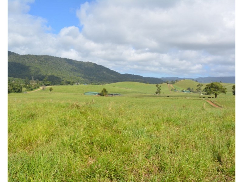 Millaa Millaa QLD 4886