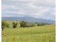 Millaa Millaa QLD 4886