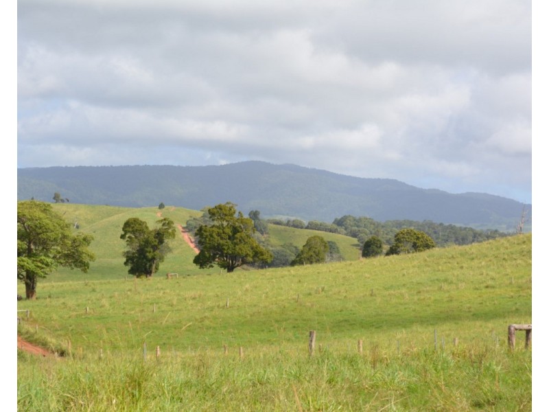 Millaa Millaa QLD 4886