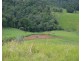 Millaa Millaa QLD 4886