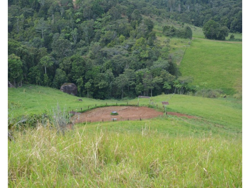 Millaa Millaa QLD 4886