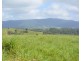 Millaa Millaa QLD 4886