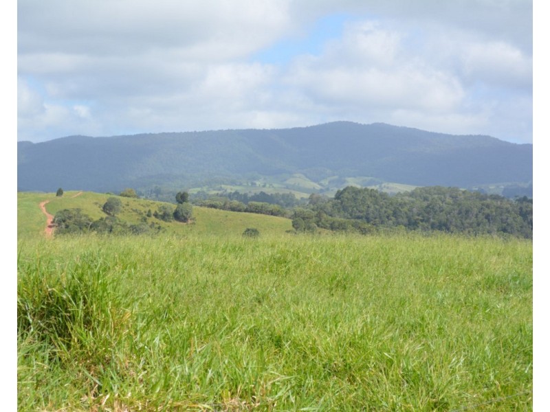Millaa Millaa QLD 4886