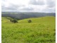 Millaa Millaa QLD 4886