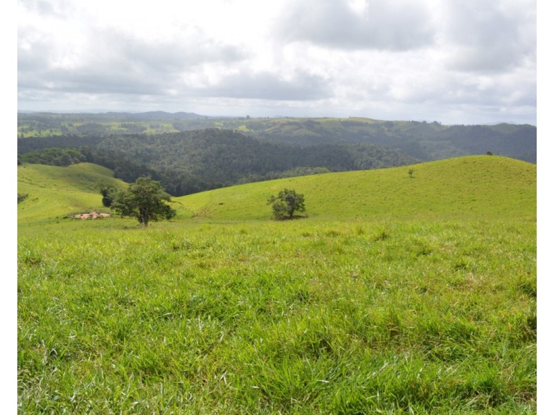 Millaa Millaa QLD 4886