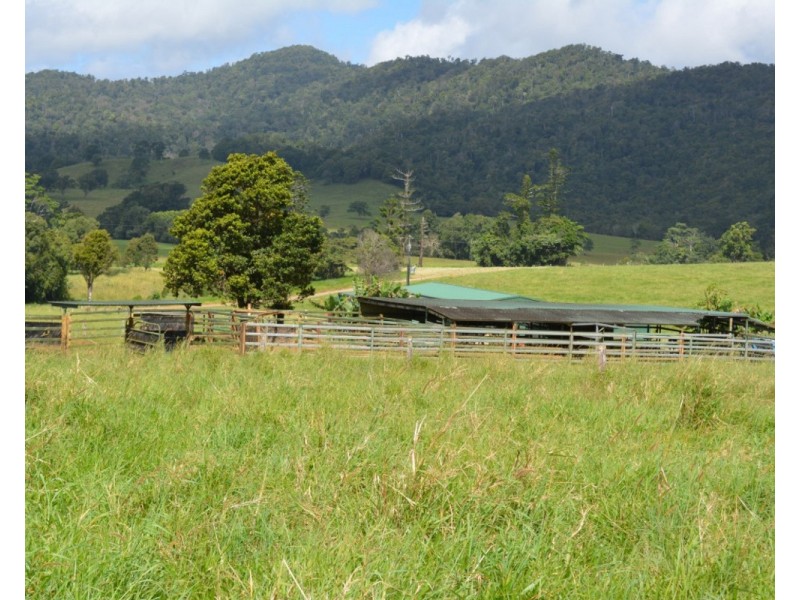 Millaa Millaa QLD 4886