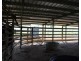 Millaa Millaa QLD 4886