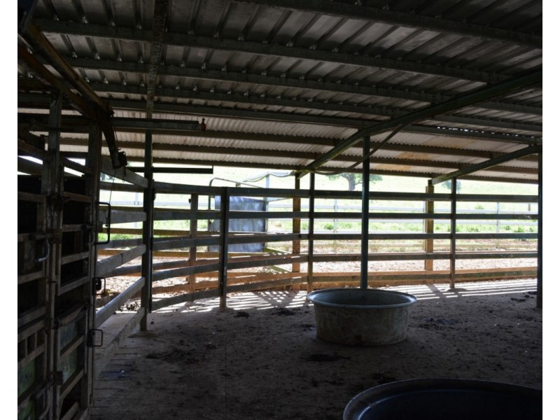 Millaa Millaa QLD 4886