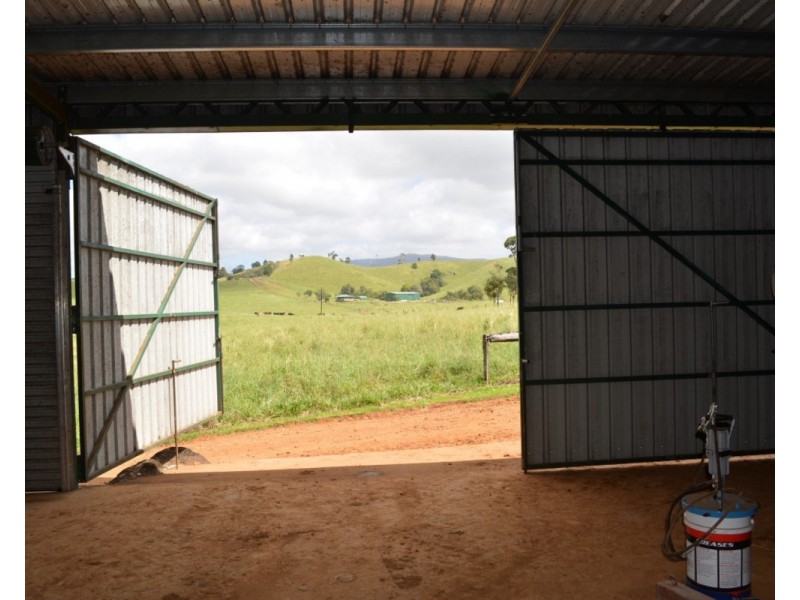 Millaa Millaa QLD 4886