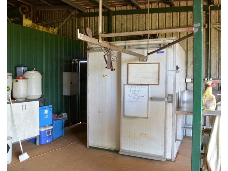 Millaa Millaa QLD 4886