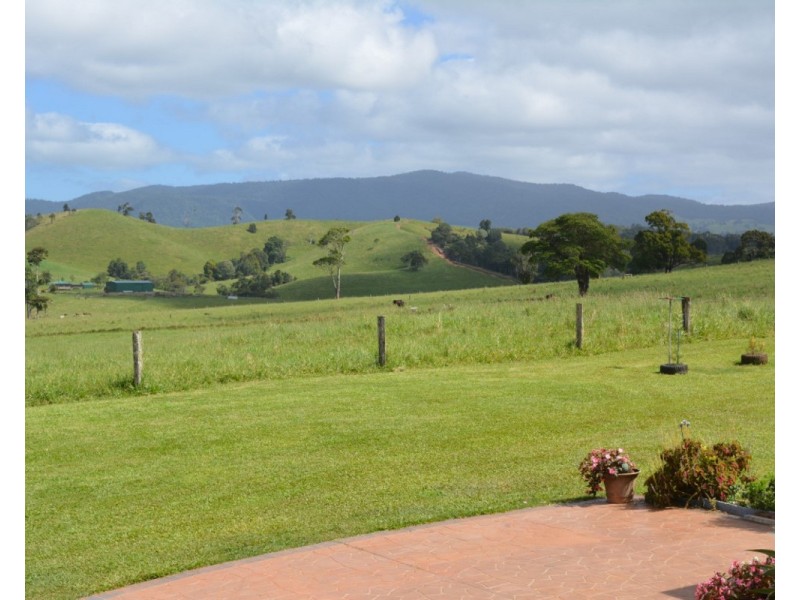 Millaa Millaa QLD 4886
