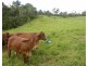 Malanda QLD 4885