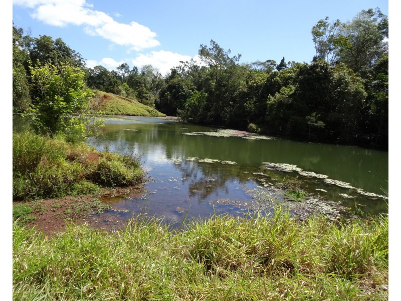 Upper Barron QLD 4883