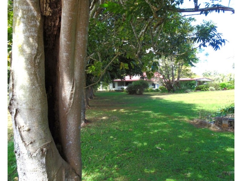 Upper Barron QLD 4883