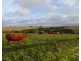 Upper Barron QLD 4883
