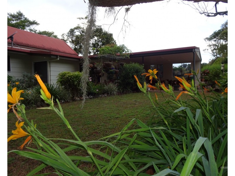 Upper Barron QLD 4883