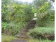 Millaa Millaa QLD 4886